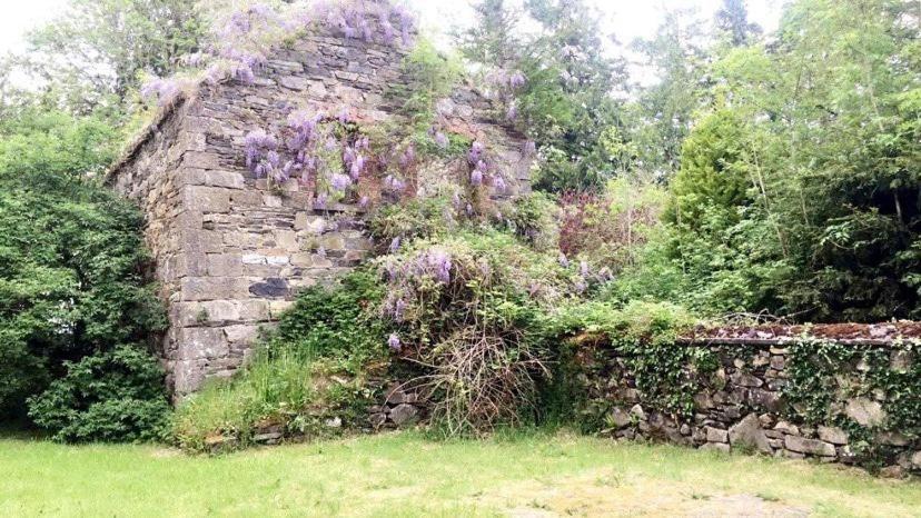 Lacken Millhouse&Gardens Cavan Exterior foto